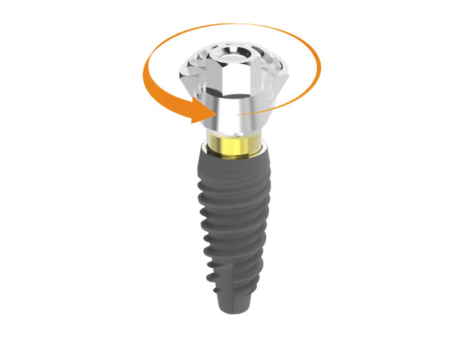 Impianti dentali Linea Cono-In